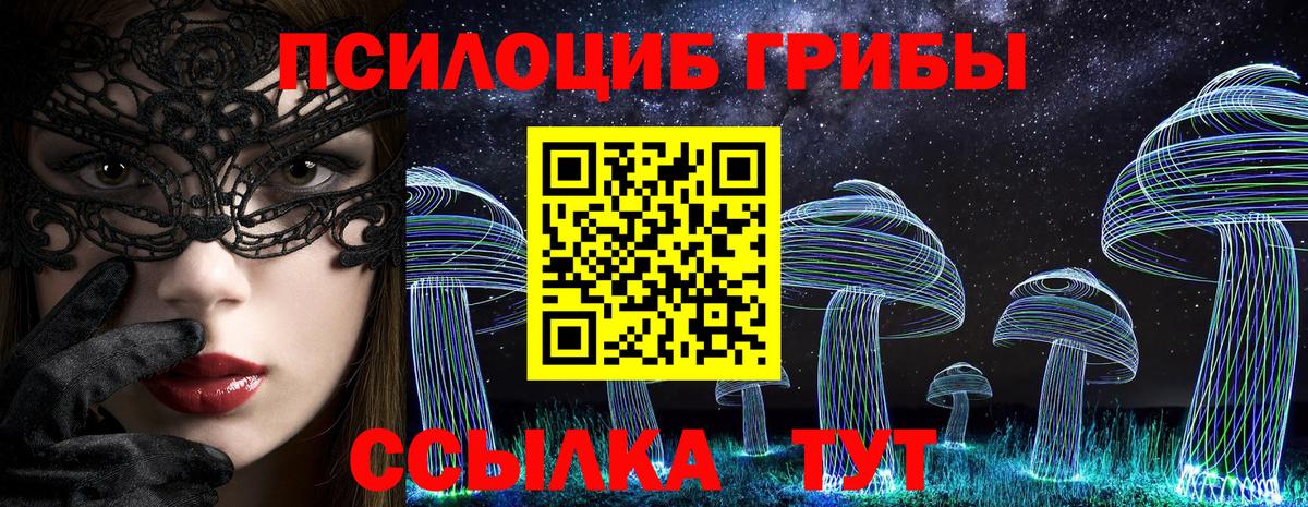 Шатура  Галлюциногенные грибы ЛСД  Псилоцибиновые грибы Psilocybe  Вход с VPN 